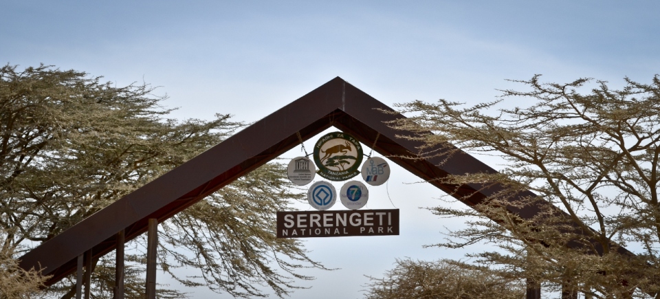 Serengeti National Park 022-3